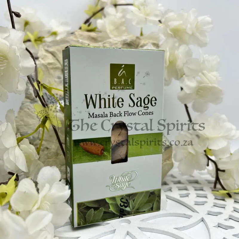 White Sage Masala Backflow Incense Cones