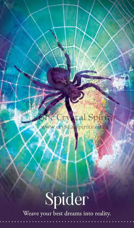 Wild Dreams Animal Oracle by Kelly Sullivan Walden
