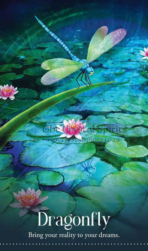 Wild Dreams Animal Oracle by Kelly Sullivan Walden