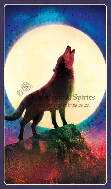 Wild Dreams Animal Oracle by Kelly Sullivan Walden
