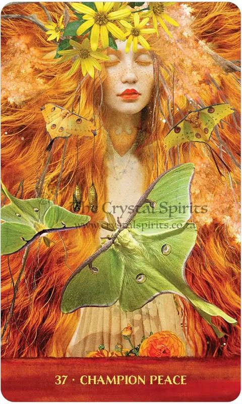 Wild Woman Rising Cards by Angi Sullins