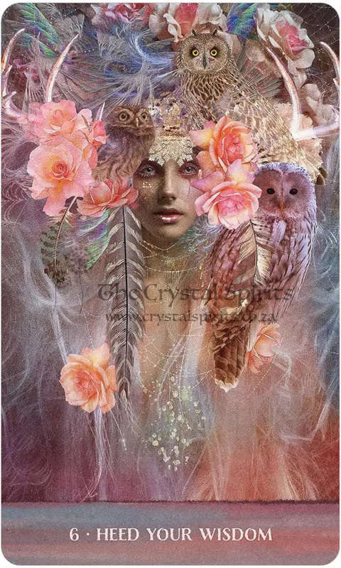 Wild Woman Rising Cards by Angi Sullins