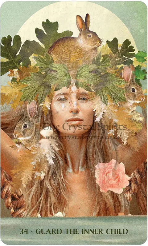 Wild Woman Rising Cards by Angi Sullins