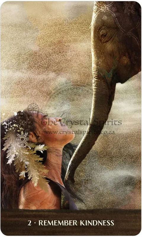 Wild Woman Rising Cards by Angi Sullins