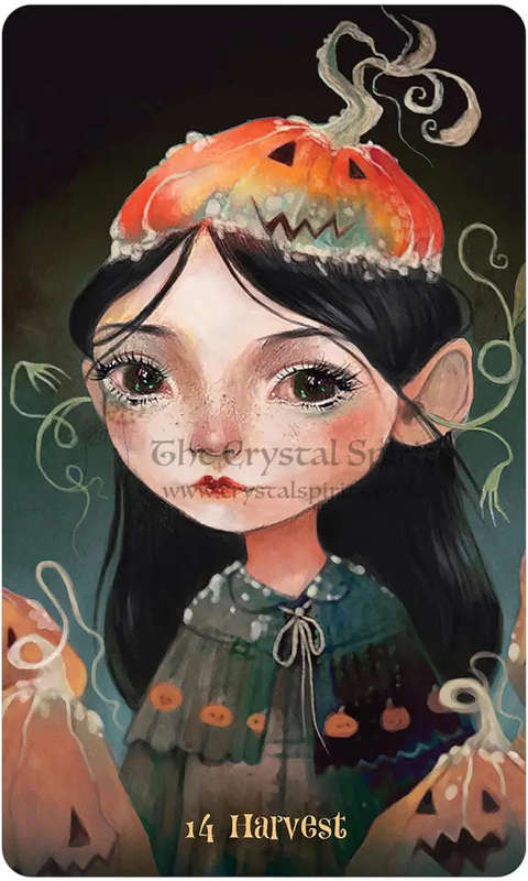 Wisdom of the Wild Things Oracle Deck & Book Set by Angi Sullins