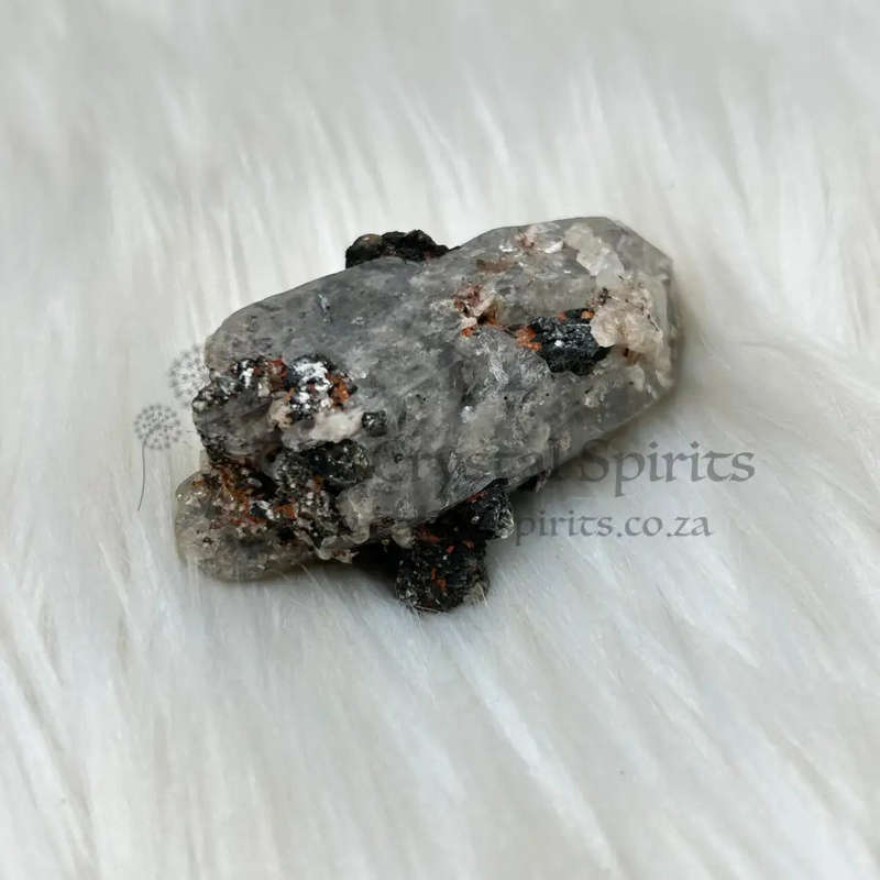 Witches Finger