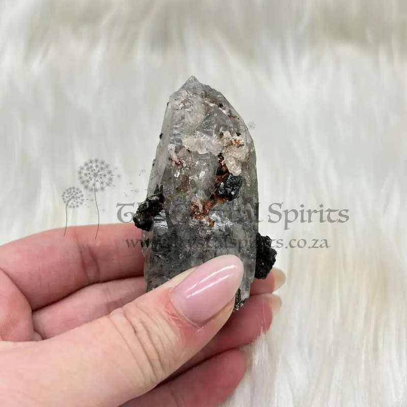 Witches Finger