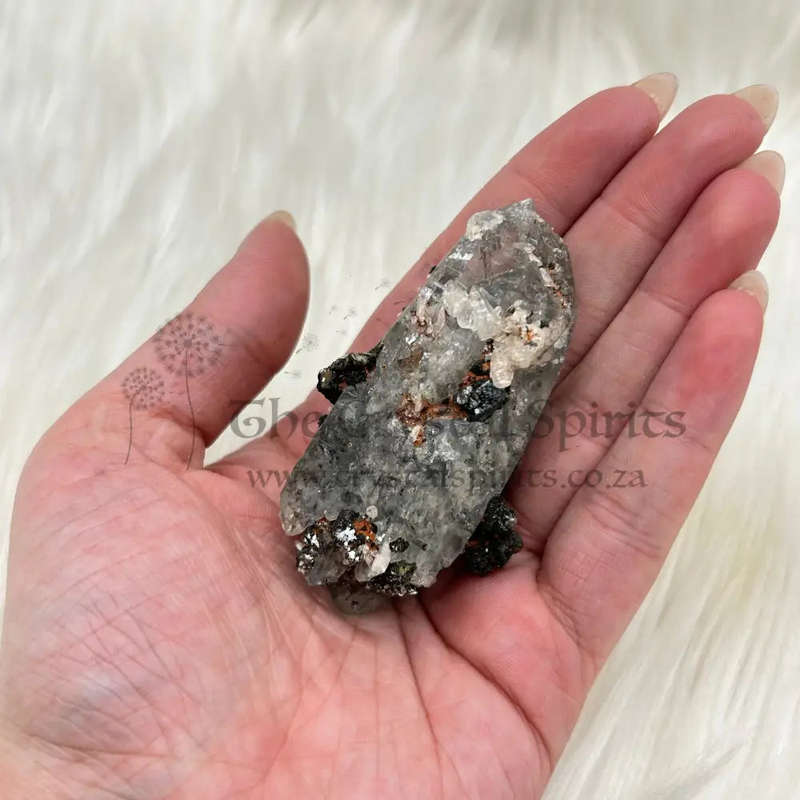 Witches Finger