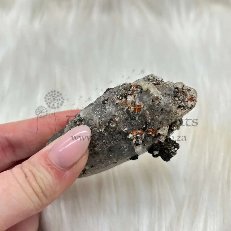Witches Finger