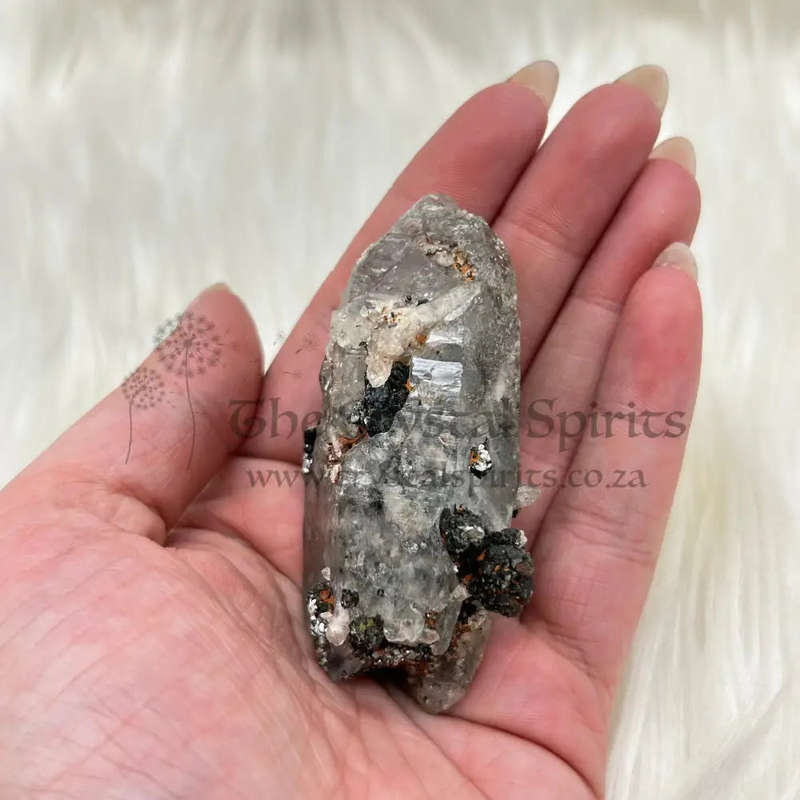 Witches Finger