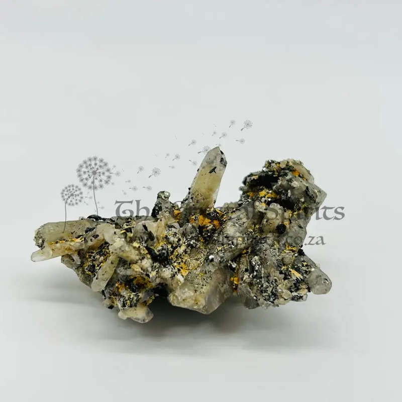 Witches Finger Cluster