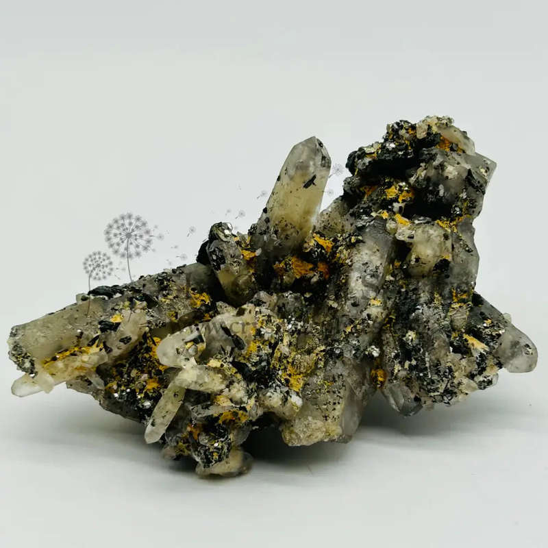 Witches Finger Cluster