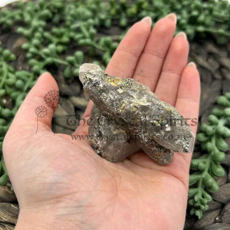 Witches Finger