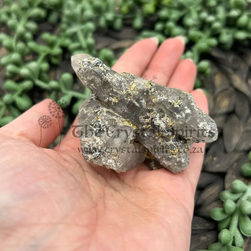 Witches Finger