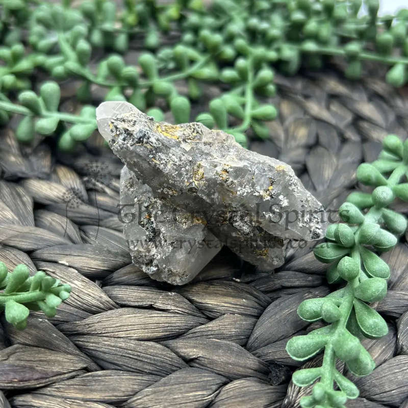 Witches Finger