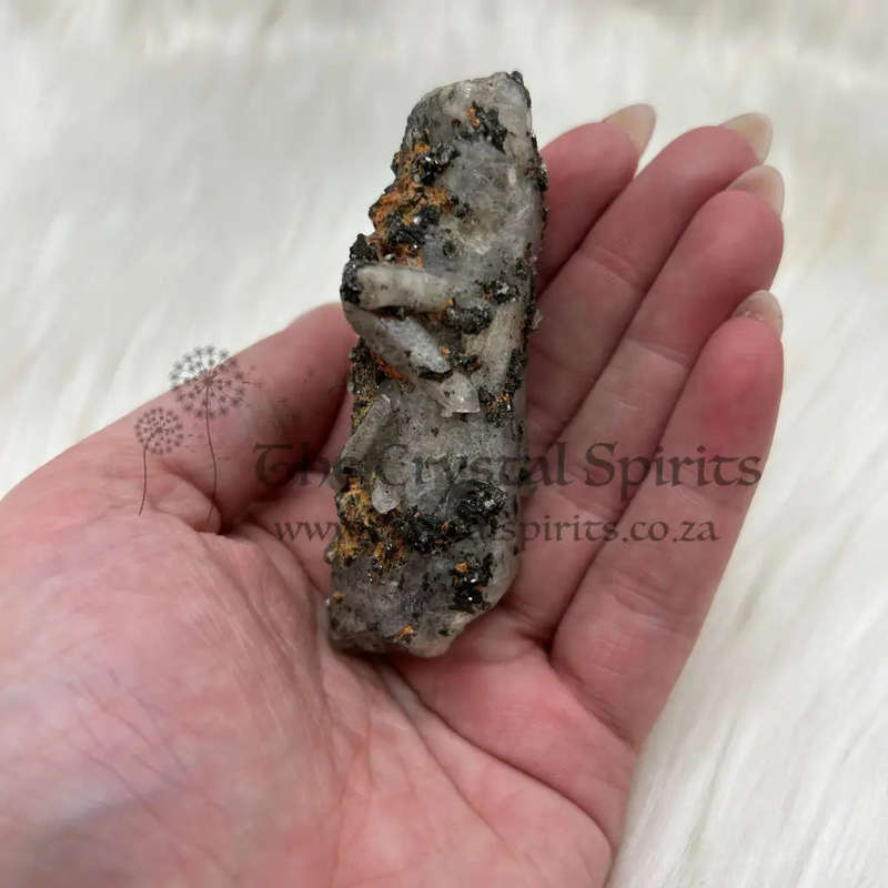 Witches Finger