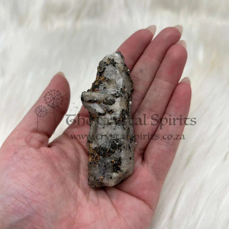 Witches Finger