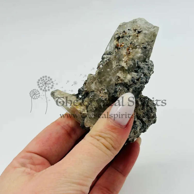 Witches Finger Elestial
