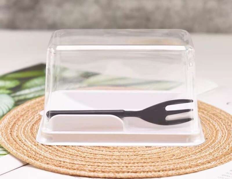 Cake Slice Container