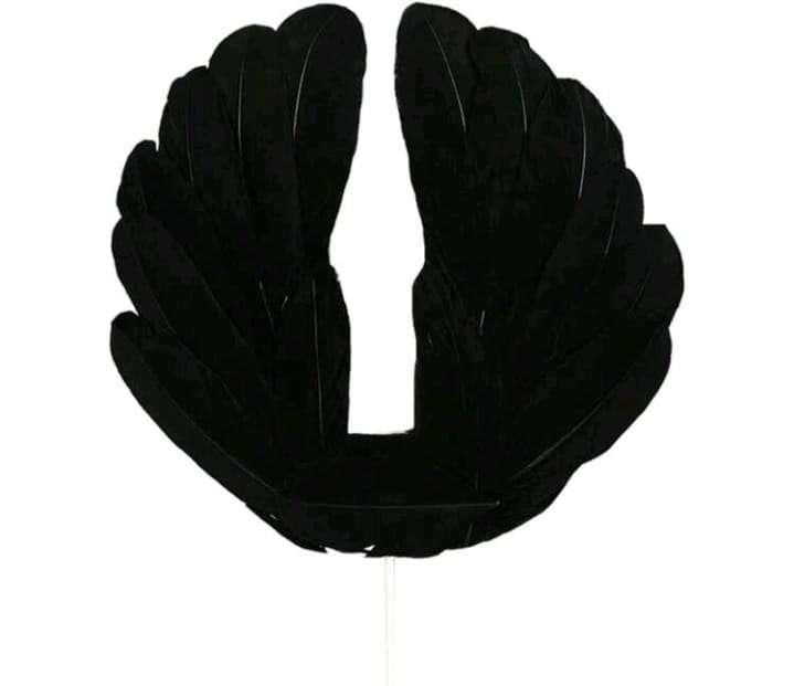 Cake Topper Feather Wings
