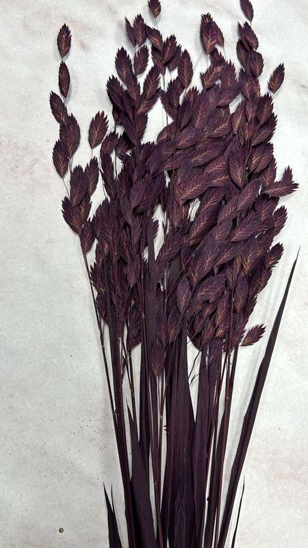 Preserved Flower Kruidjie roer my nie