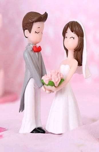Wedding Topper Bride and Groom