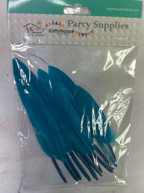Blue Feathers