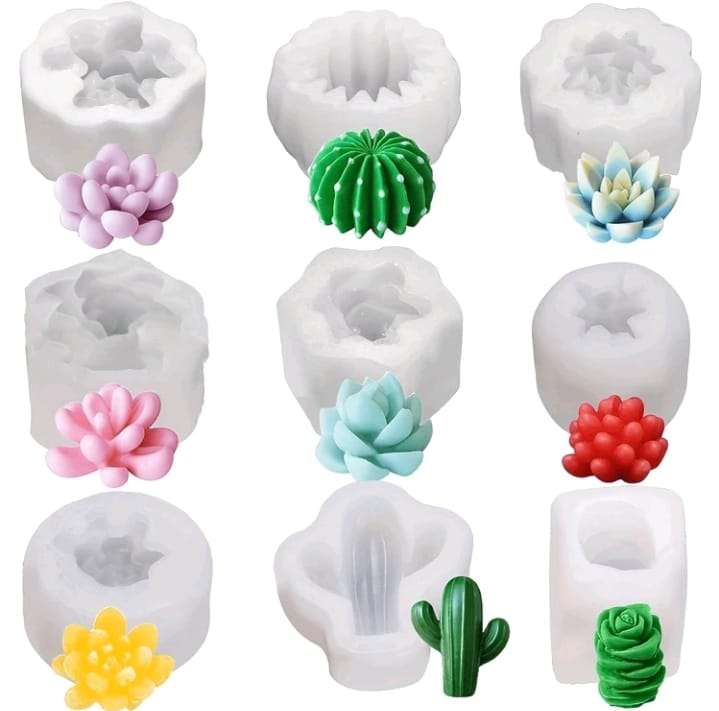9pc Silicone Mould  Various Cactus Succulent