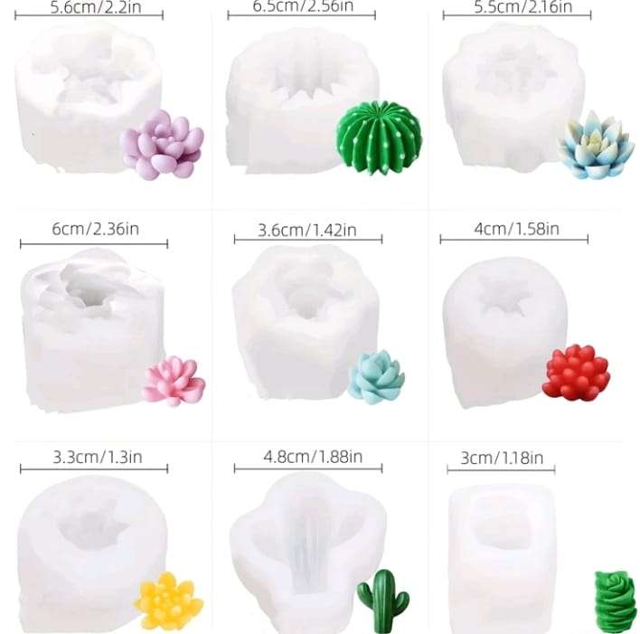 9pc Silicone Mould  Various Cactus Succulent