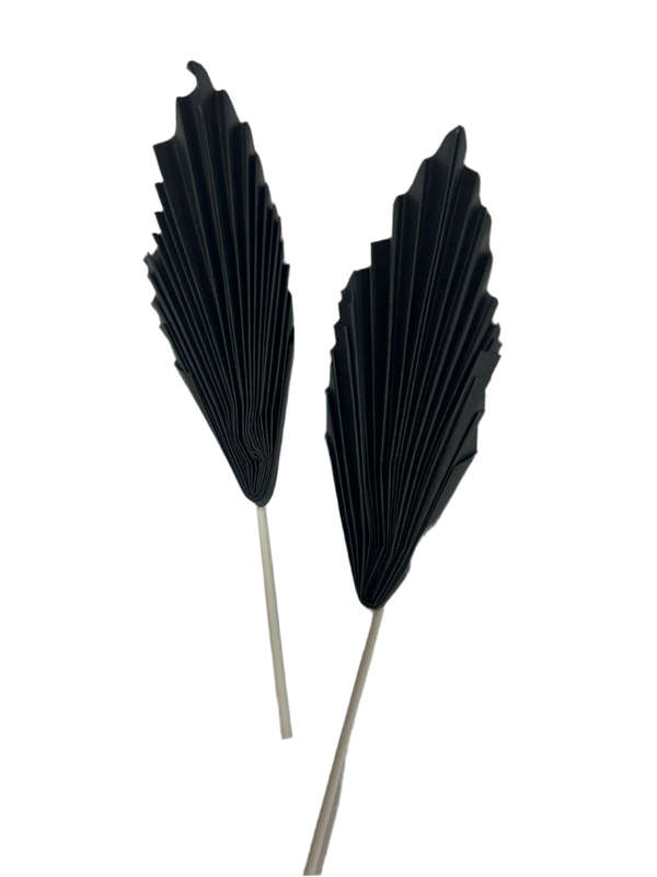 Black Paper Fan Cake Topper