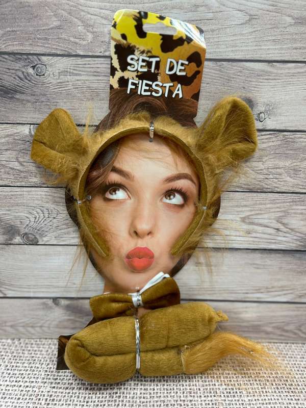 Lion Dress-up Set