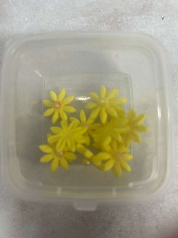 12 Small Edible Daisies