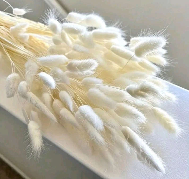 60pc Cake Topper Bunny Tails