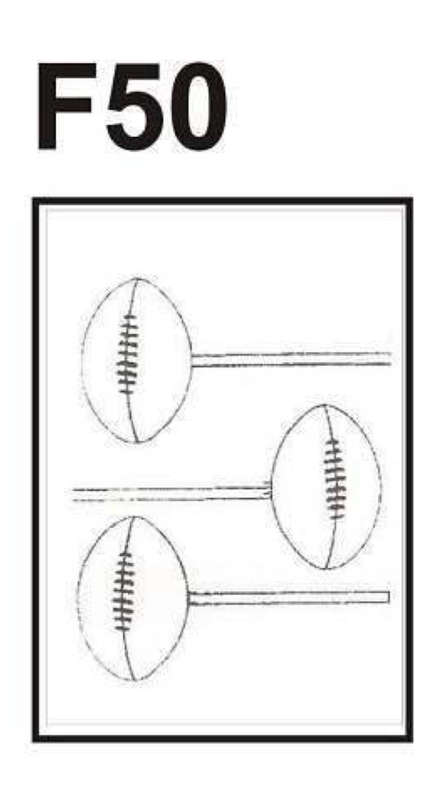 F50 Hard Plastic Chocolate Mould Rugby