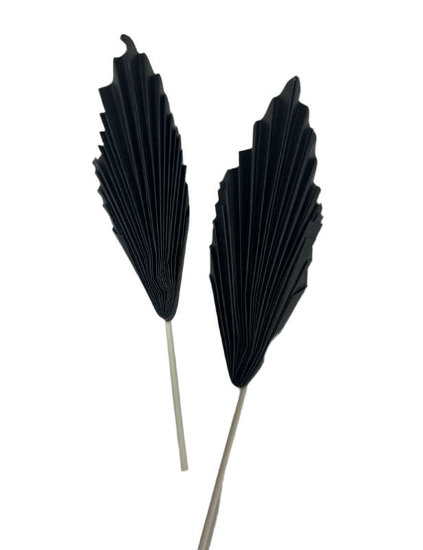 Black Paper Fan Cake Topper