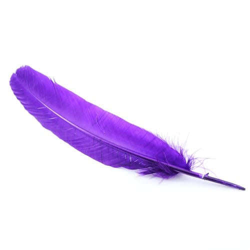 Purple Feathers