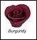 Burgandy Cake Flora 25ml Food Colouring Gel