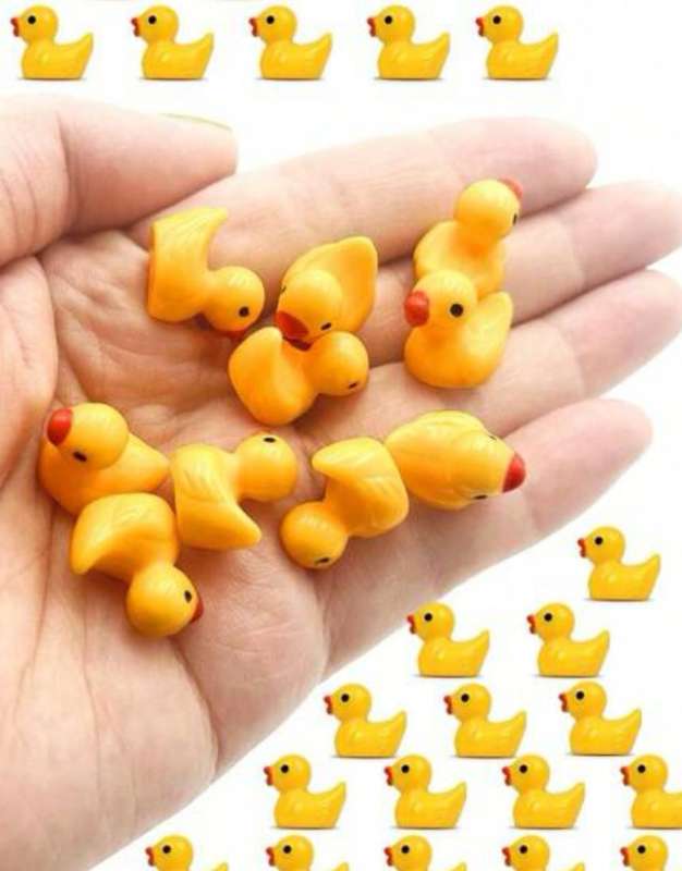 Plastic Rubber Duck 10pc