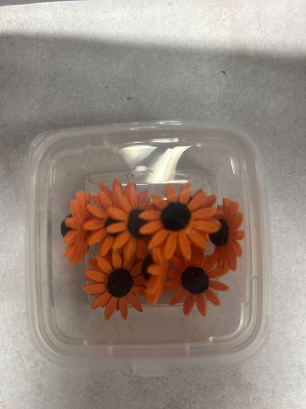 12 Large Edible Daisies