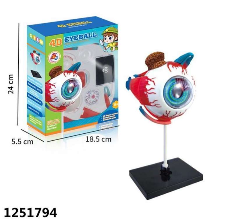 Educational Toy Eye