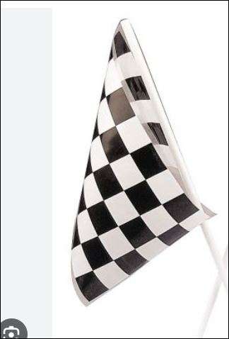 Big Racing Flag on Plastic Stick