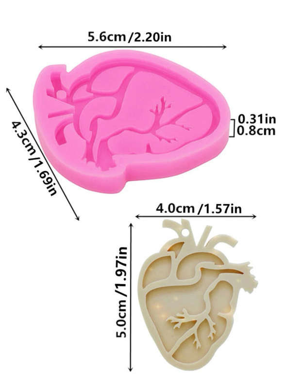 Silicone Mould Heart Resin Organ