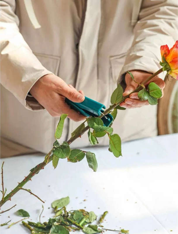 Flower Thorn and Leaf Remover