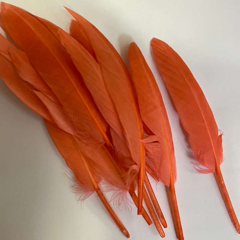 Peach Feathers