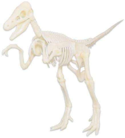 Archaeological world dinosaur fossil