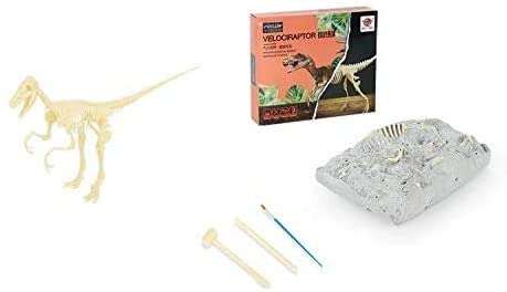 Archaeological world dinosaur fossil