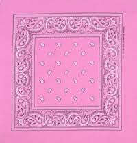 Light pink B headband /  party bandana - perfect for cowboy party