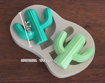 Mexican Cactus Silicone mould