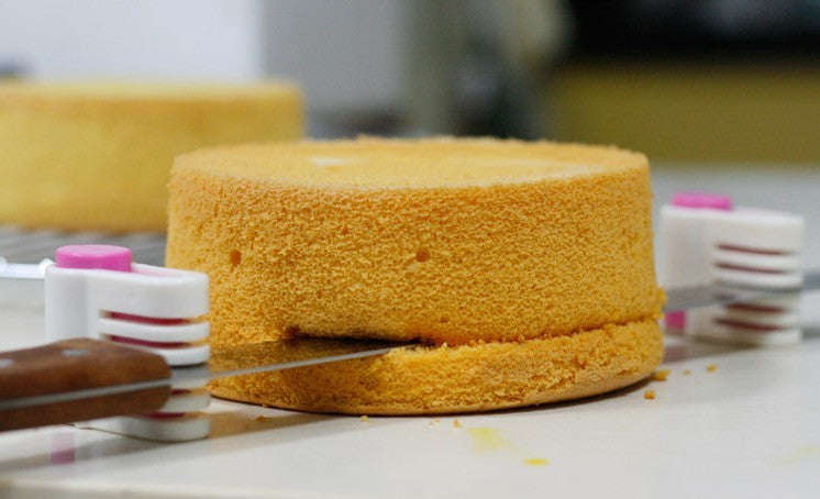 Precision cake slicer