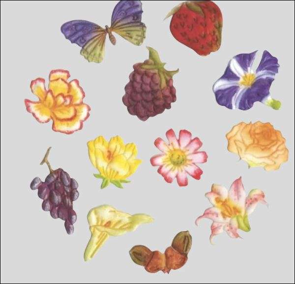 Fmm Flower & Fruit Tappit